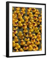 The Make-A-Wish Foundation Releases Rubber Ducks into the Ocean-null-Framed Photographic Print