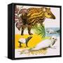 The Malayan Tapir and Atlantic Grey Seal-Eric Tansley-Framed Stretched Canvas