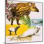 The Malayan Tapir and Atlantic Grey Seal-Eric Tansley-Mounted Giclee Print