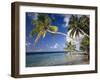 The Maldives, Palm Beach-Thonig-Framed Photographic Print