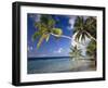 The Maldives, Palm Beach-Thonig-Framed Photographic Print