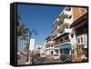 The Malecon, Puerto Vallarta, Jalisco, Mexico, North America-Michael DeFreitas-Framed Stretched Canvas