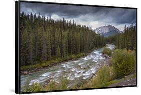 The Maligne River meandering through the Canadian Rockies, Jasper National Park-Adam Burton-Framed Stretched Canvas