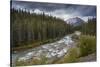 The Maligne River meandering through the Canadian Rockies, Jasper National Park-Adam Burton-Stretched Canvas