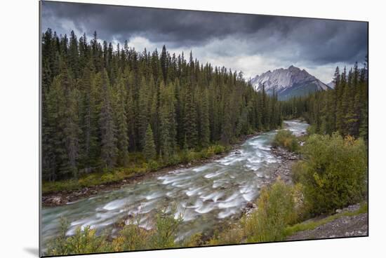 The Maligne River meandering through the Canadian Rockies, Jasper National Park-Adam Burton-Mounted Photographic Print