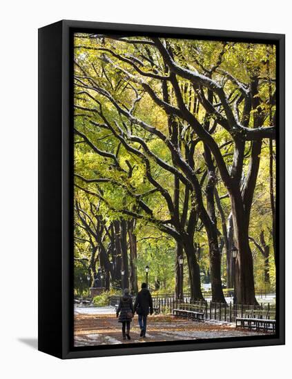 The Mall and Literary Walk with American Elm Trees Forming the Avenue Canopy, New York, USA-Gavin Hellier-Framed Stretched Canvas