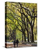 The Mall and Literary Walk with American Elm Trees Forming the Avenue Canopy, New York, USA-Gavin Hellier-Stretched Canvas