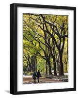 The Mall and Literary Walk with American Elm Trees Forming the Avenue Canopy, New York, USA-Gavin Hellier-Framed Photographic Print