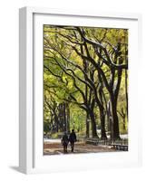 The Mall and Literary Walk with American Elm Trees Forming the Avenue Canopy, New York, USA-Gavin Hellier-Framed Photographic Print