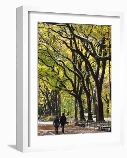 The Mall and Literary Walk with American Elm Trees Forming the Avenue Canopy, New York, USA-Gavin Hellier-Framed Photographic Print