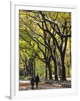 The Mall and Literary Walk with American Elm Trees Forming the Avenue Canopy, New York, USA-Gavin Hellier-Framed Photographic Print