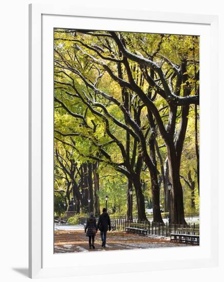 The Mall and Literary Walk with American Elm Trees Forming the Avenue Canopy, New York, USA-Gavin Hellier-Framed Photographic Print