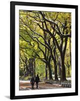 The Mall and Literary Walk with American Elm Trees Forming the Avenue Canopy, New York, USA-Gavin Hellier-Framed Photographic Print