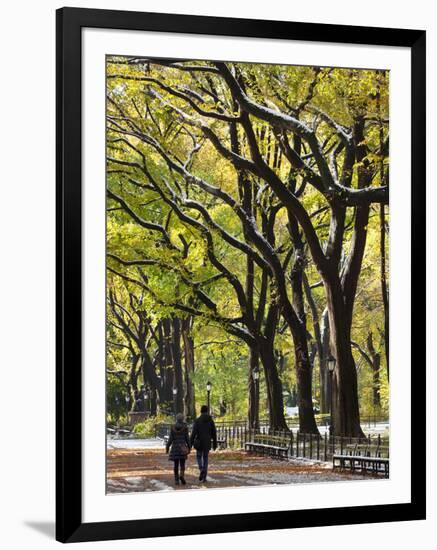 The Mall and Literary Walk with American Elm Trees Forming the Avenue Canopy, New York, USA-Gavin Hellier-Framed Photographic Print