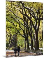 The Mall and Literary Walk with American Elm Trees Forming the Avenue Canopy, New York, USA-Gavin Hellier-Mounted Photographic Print