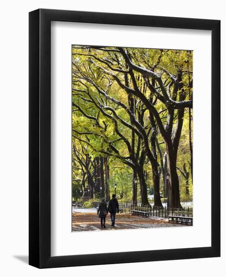 The Mall and Literary Walk with American Elm Trees Forming the Avenue Canopy, New York, USA-Gavin Hellier-Framed Photographic Print