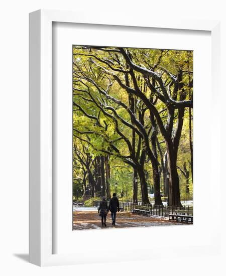 The Mall and Literary Walk with American Elm Trees Forming the Avenue Canopy, New York, USA-Gavin Hellier-Framed Photographic Print