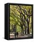 The Mall and Literary Walk with American Elm Trees Forming the Avenue Canopy, New York, USA-Gavin Hellier-Framed Stretched Canvas