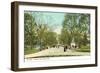 The Mall, Central Park, New York City-null-Framed Art Print