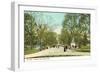 The Mall, Central Park, New York City-null-Framed Art Print