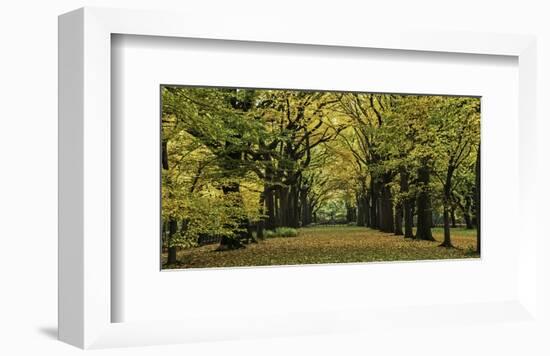 The Mall in Autumn-null-Framed Art Print