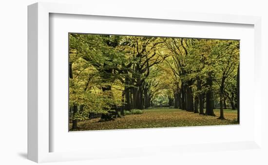 The Mall in Autumn-null-Framed Art Print