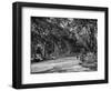 The Mall in Central Park in New York City Photograph - New York, NY-Lantern Press-Framed Art Print