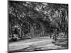 The Mall in Central Park in New York City Photograph - New York, NY-Lantern Press-Mounted Art Print