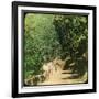 The Mall Road, Simla, India, Late 19th or Early 20th Century-null-Framed Giclee Print