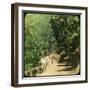 The Mall Road, Simla, India, Late 19th or Early 20th Century-null-Framed Giclee Print