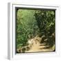 The Mall Road, Simla, India, Late 19th or Early 20th Century-null-Framed Giclee Print