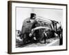 The Mallard Steam Train, World Record Holder for Steam Locomotives of 126 MPH in 1938-null-Framed Photographic Print
