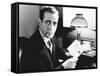 The Maltese Falcon-null-Framed Stretched Canvas