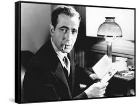 The Maltese Falcon-null-Framed Stretched Canvas