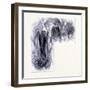 The Mammoth Cave in Kentucky United States of America-null-Framed Giclee Print
