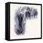 The Mammoth Cave in Kentucky United States of America-null-Framed Stretched Canvas
