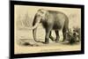 The Mammoth-Joseph Smit-Mounted Art Print