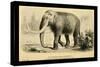 The Mammoth-Joseph Smit-Stretched Canvas