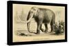 The Mammoth-Joseph Smit-Stretched Canvas