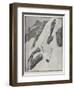 The Man and the Mountain-Richard Caton Woodville II-Framed Giclee Print