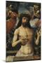 The Man of Sorrows-Jacob Cornelisz van Oostsanen-Mounted Giclee Print