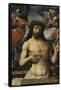 The Man of Sorrows-Jacob Cornelisz van Oostsanen-Framed Stretched Canvas