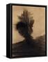 The Man Tree-Odilon Redon-Framed Stretched Canvas