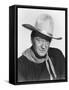 THE MAN WHO SHOT LIBERTY VALANCE, 1962 directed by JOHN FORD John Wayne (b/w photo)-null-Framed Stretched Canvas