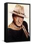 The Man Who Shot Liberty Valance 1962 Directed by John Ford John Wayne-null-Framed Stretched Canvas