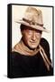 The Man Who Shot Liberty Valance 1962 Directed by John Ford John Wayne-null-Framed Stretched Canvas