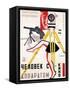 The Man with a Movie Camera, 1929-null-Framed Stretched Canvas