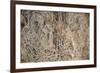 The Mani Stone Carvings in Manaslu Region are Some of Most Detailed and Beautiful in Himalayas-Alex Treadway-Framed Photographic Print