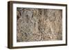 The Mani Stone Carvings in Manaslu Region are Some of Most Detailed and Beautiful in Himalayas-Alex Treadway-Framed Photographic Print