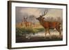 The Mantchurian Deer, Cervus Mantchurias, Zoological Sketches, 1856-Joseph Wolf-Framed Giclee Print